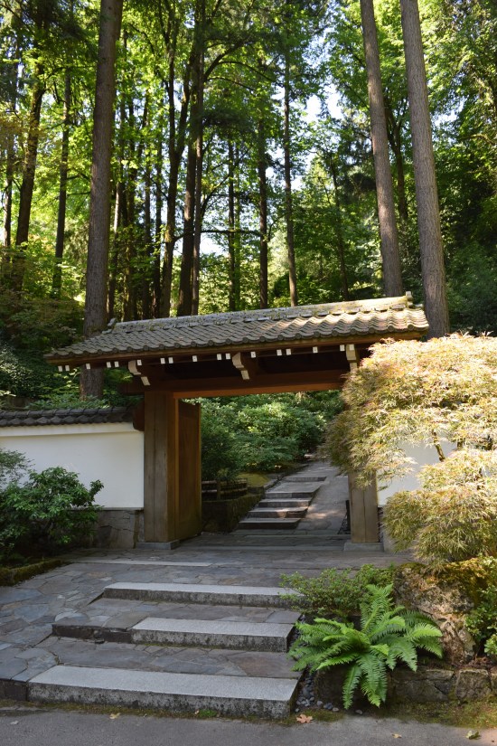Trees of the Pacific Northwest tower over the entrance to the Portland Japanese Garden.