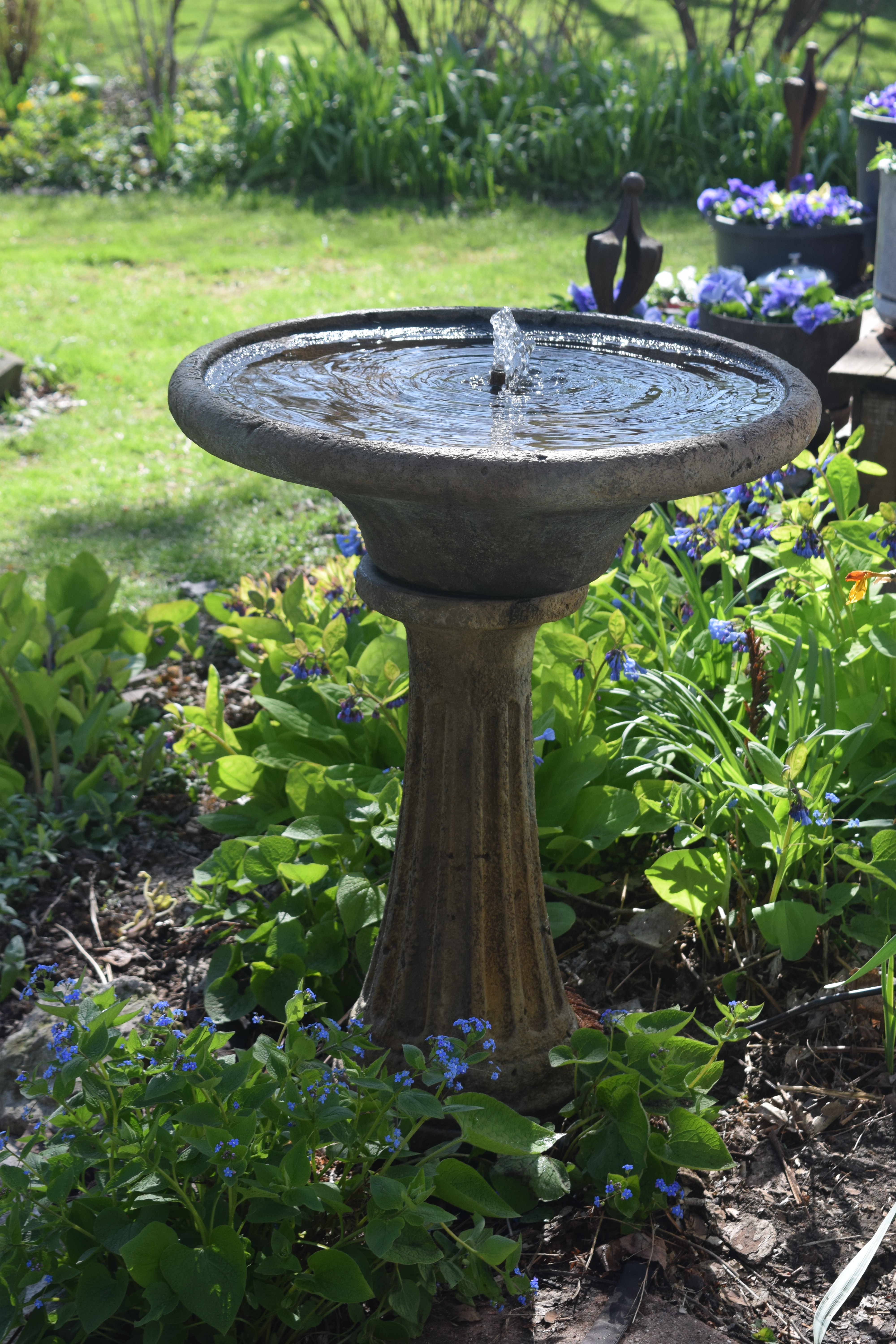 Image of Birdbath surrounded by wood chips